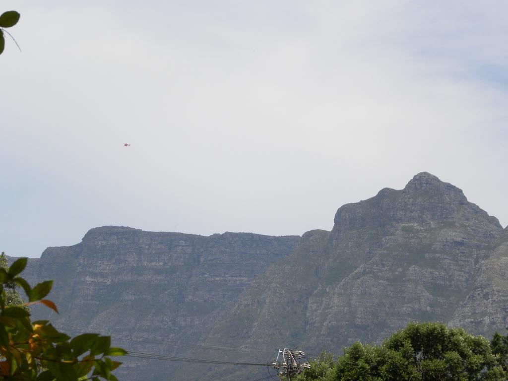 Applegarth B&B And Self-Catering Studios Cape Town Ngoại thất bức ảnh