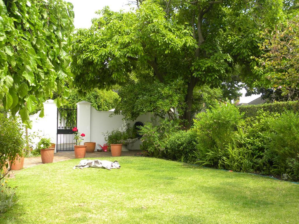 Applegarth B&B And Self-Catering Studios Cape Town Ngoại thất bức ảnh