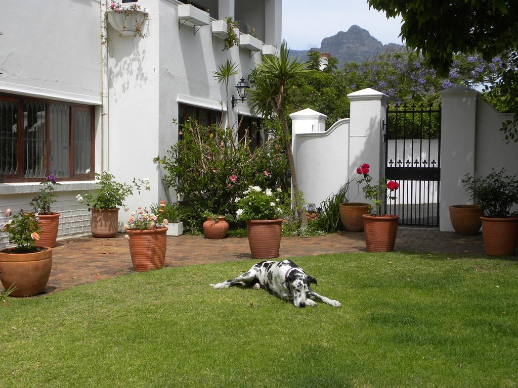 Applegarth B&B And Self-Catering Studios Cape Town Ngoại thất bức ảnh
