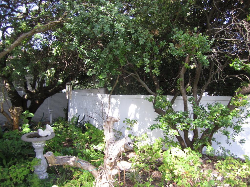 Applegarth B&B And Self-Catering Studios Cape Town Ngoại thất bức ảnh
