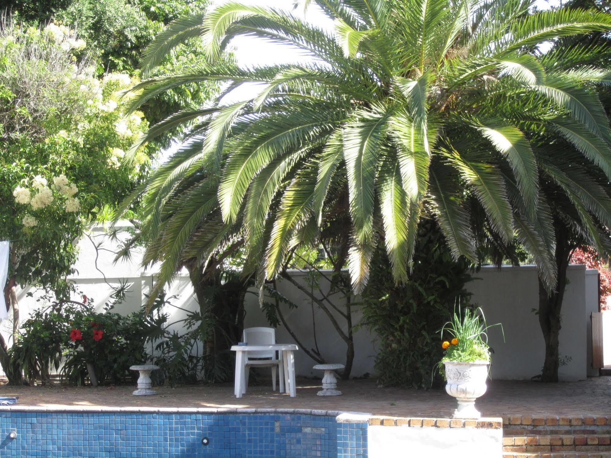 Applegarth B&B And Self-Catering Studios Cape Town Ngoại thất bức ảnh